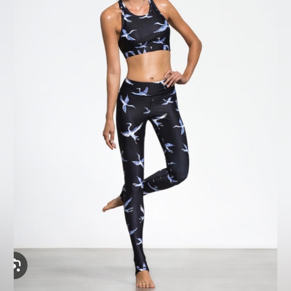 Bandier Carbon38 High Waisted Crane Leggings